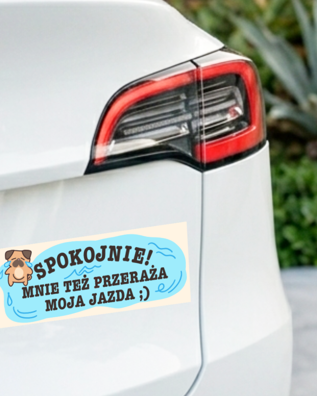 Car sticker - MY DRIVING SCARES ME