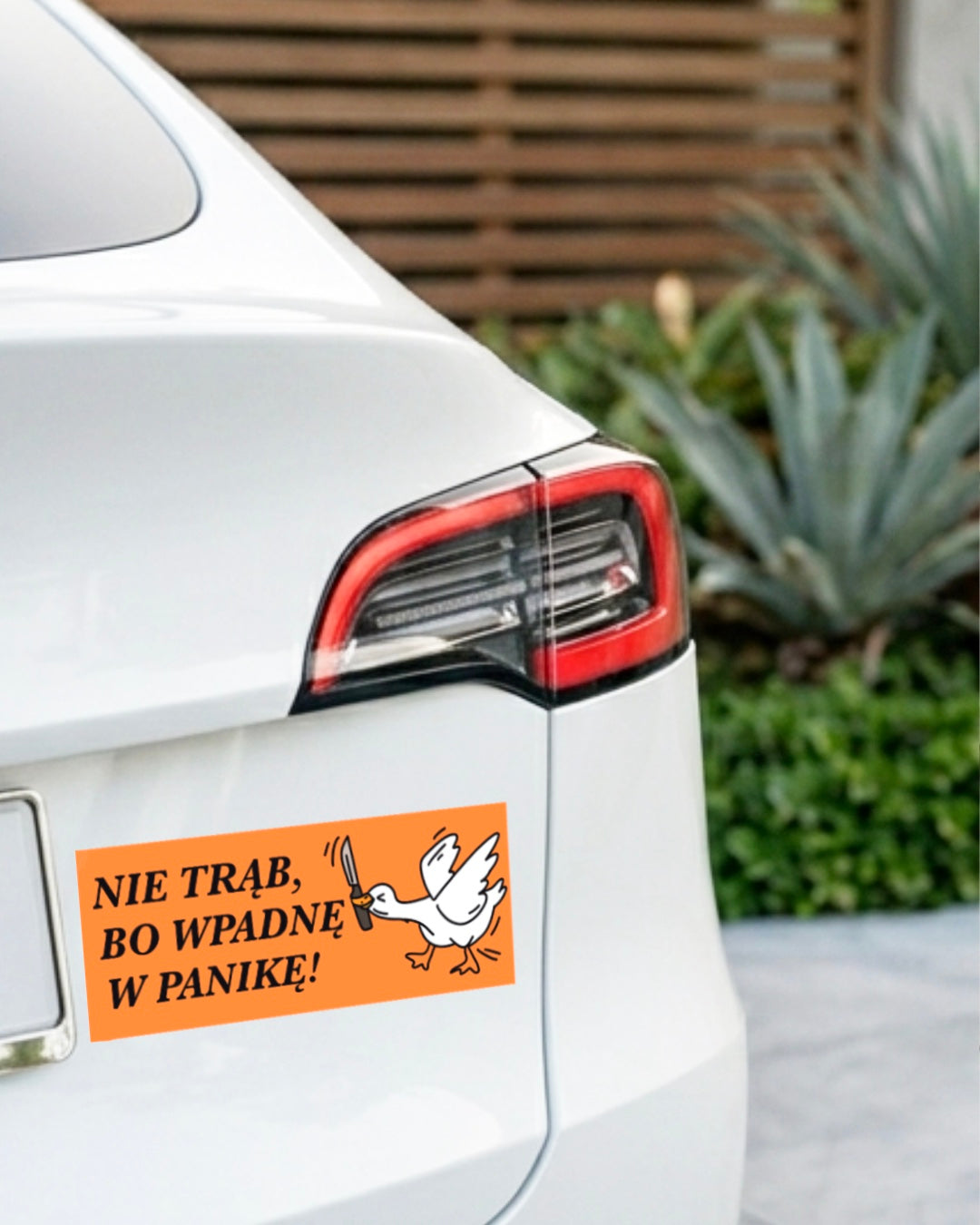 Car sticker - GOOSE - DO NOT HONK