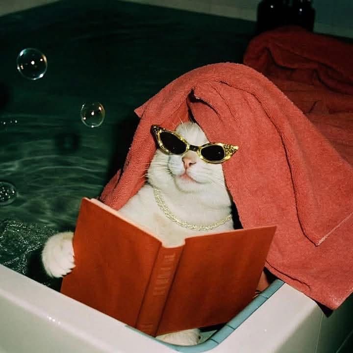 Rynek produktów z kotami oceniany jest na prawie 55 mld zł