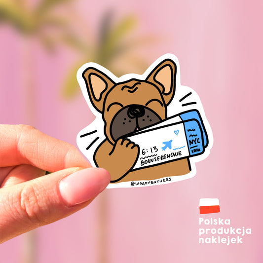 Sticker - Boguś airline tickets