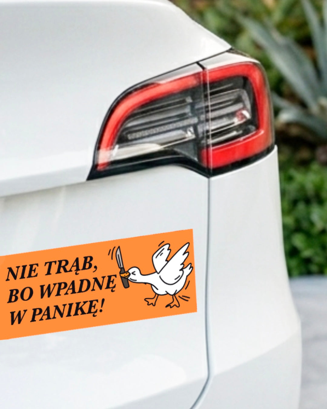 Car sticker - GOOSE - DO NOT HONK