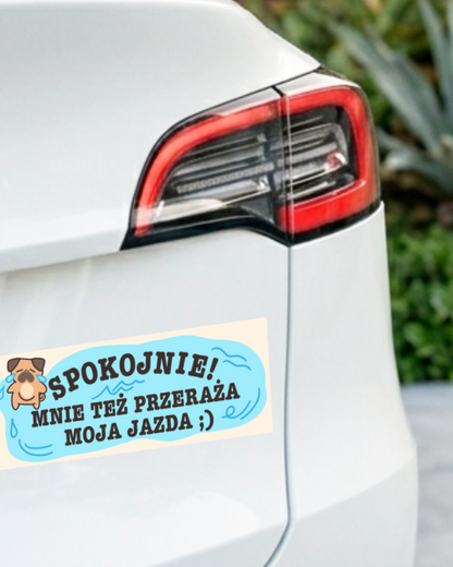 Car sticker - MY DRIVING SCARES ME