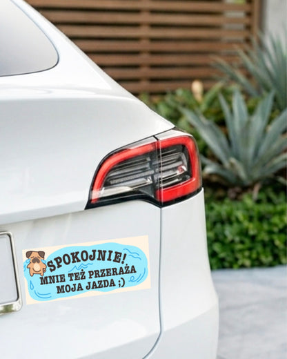 Car sticker - MY DRIVING SCARES ME