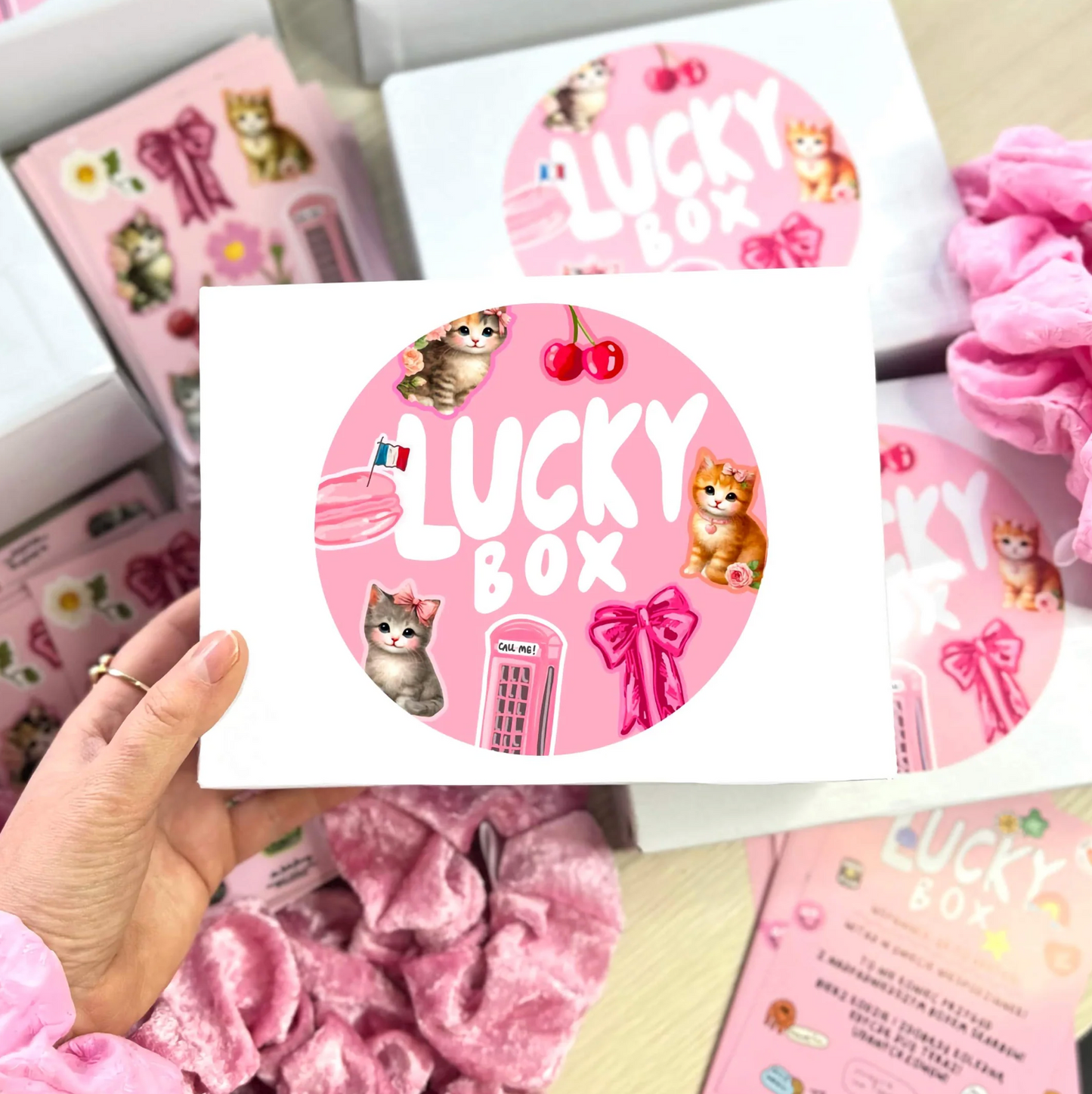 LUCKY BOX 😻 - KITTENS! 2026